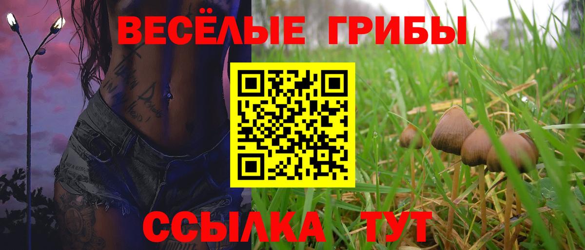 Псилоцибиновые грибы мухоморы  Галлюциногенные грибы Psilocybine cubensis  Саров  Вход с VPN 